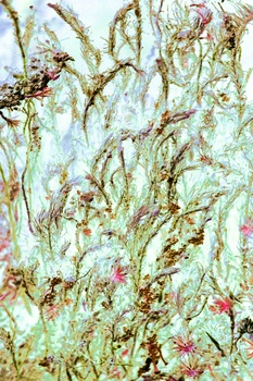 N 010B